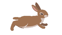 cust_result_main_image