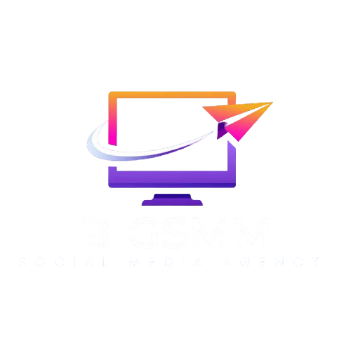 bigsmm.in