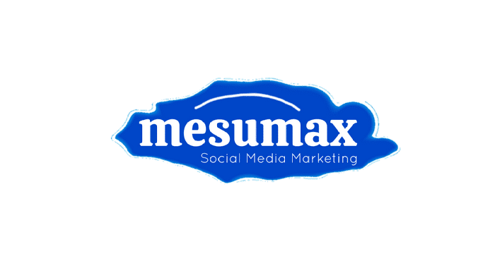 Mesumax Social Media Agency 